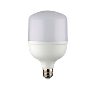 YL95-3021 NOAS YL95-3021 30W Led Torch Ampul Beyaz ana urun gorseli