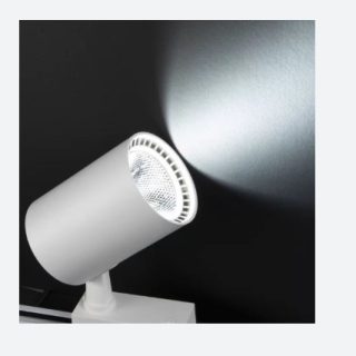 YL29-3002 YL29-3002 NOAS LED 30W BEYAZ KASA RAY SPOT GUN ISIGI PARIS ana urun gorseli