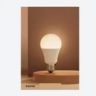 E27-GUNISIGI-EKONOMIK-GENEL-AYDINLATMA CT-4277G 9W Led Ampul E27 Gunisigi Ekonomik Genel Aydinlatma ana urun gorseli